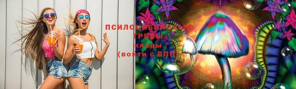 ешки Няндома