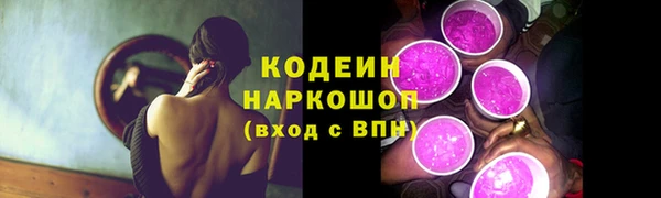 ешки Няндома