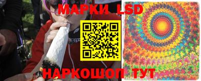 mdpv Гай