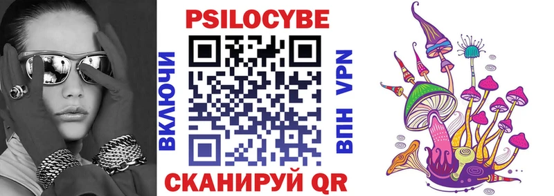 как найти   Пушкино  Галлюциногенные грибы Psilocybe 
