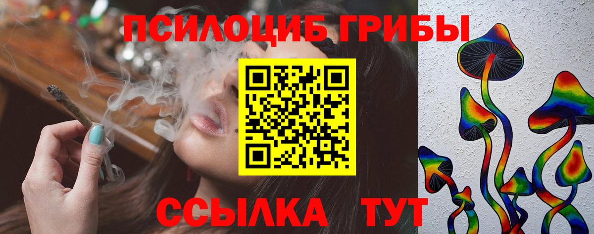 Псилоцибиновые грибы MAGIC MUSHROOMS  Пушкино 